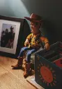 unsplash_avRd6COyLBY_toy.jpg.jpg.jpg.webp